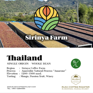 Thailand Sirinya Amarone